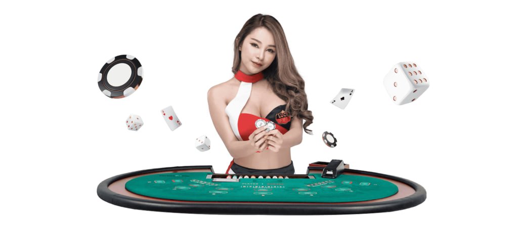 mi 24 Live Casino Mechanics